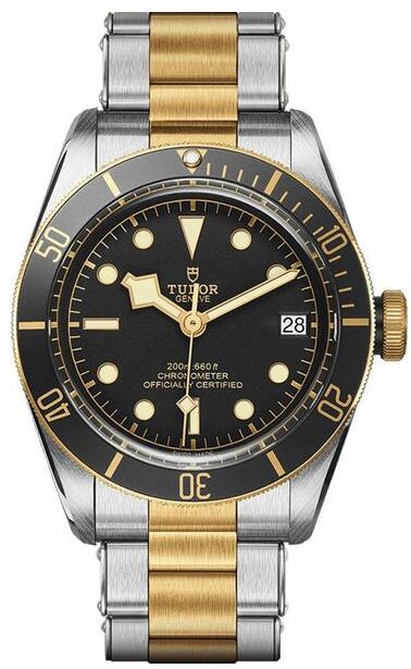 Tudor Heritage M79733N-0008 Black Bay Black Dial Men Replica watch